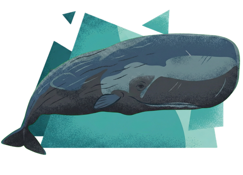  Ilustração Congresso Animal 12